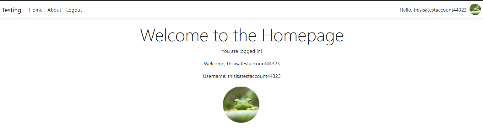 Homepage visual when logged in example